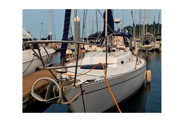 1981 CAL 39 MK III