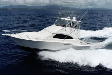 2005 Bertram 450
