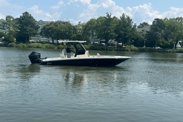2025 Scout 261 XSS