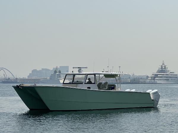 SilverCAT 40CC