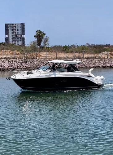 Sea Ray Sundancer 320 Outboard