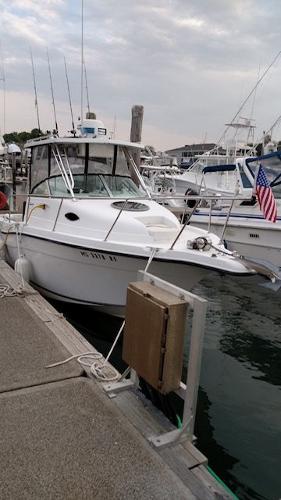 2003 Seaswirl Striper 2601 Walkaround I/O