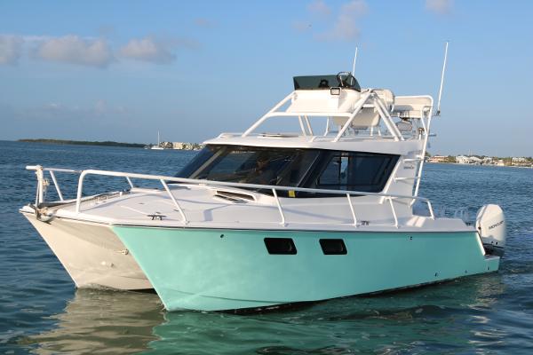 2020 ArrowCat 320 Fly Dual Helm
