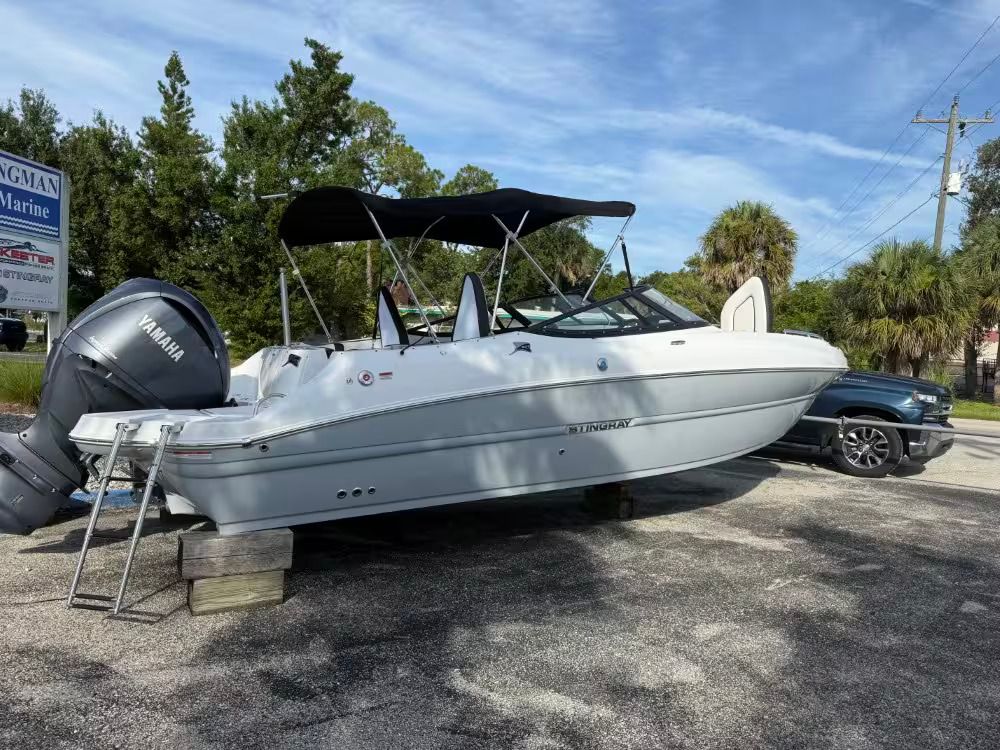 Stingray 231 DC