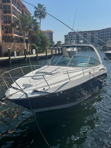 2015 Monterey 295-SY
