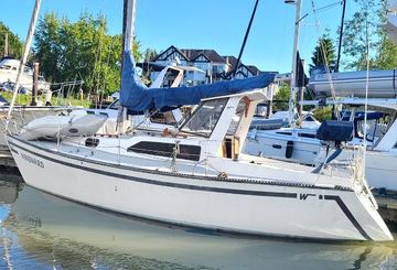 1981 Windward Sail