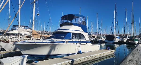 1985 Bertram 33 Flybridge Cruiser
