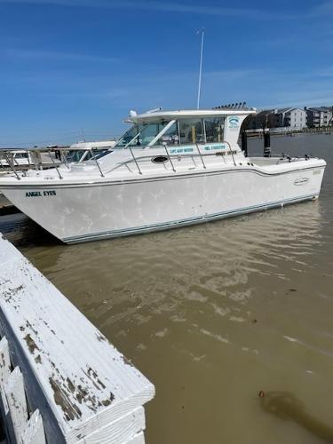 1999 Baha Cruisers 290 King Cat Ht
