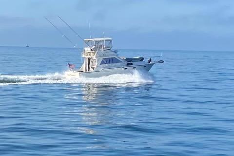 Tiara Yachts 3600 Convertible 1987 Tiara Yachts 3600 Convertible cruising on calm blue waters.