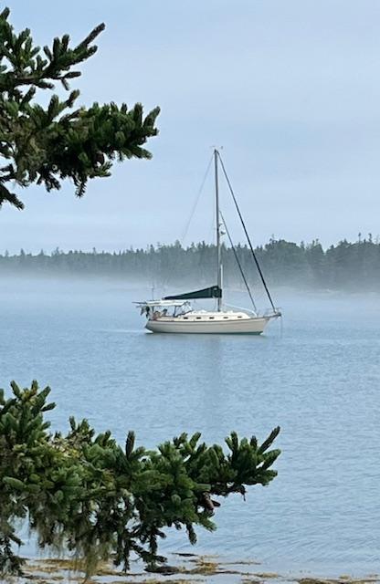 Island Packet 350