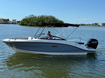 2025 Sea Ray SPX 190 Outboard