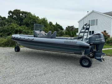 2019 Sealegs 9M