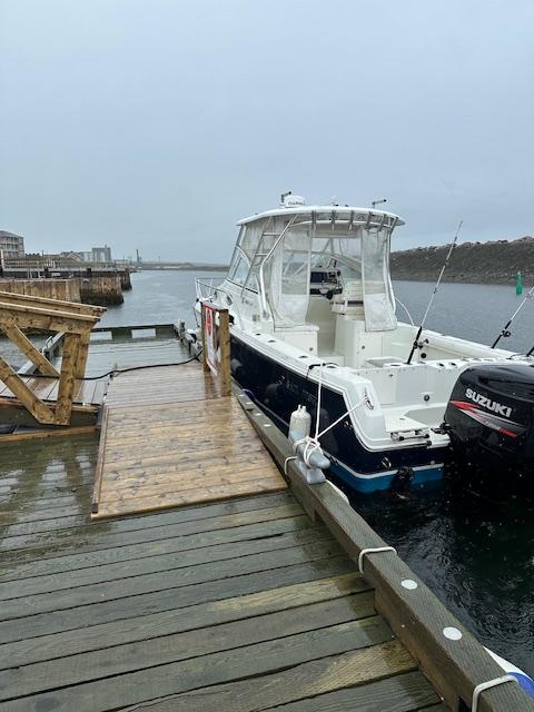 2007 Sailfish 3006 Express