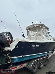 2007 Sailfish 3006 Express