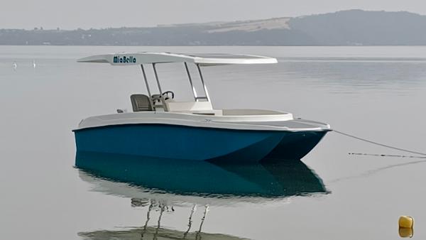 2024 Custom E Solar Sunny Cat