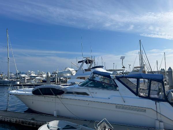 1991 Sea Ray Sun Dancer 480 Express