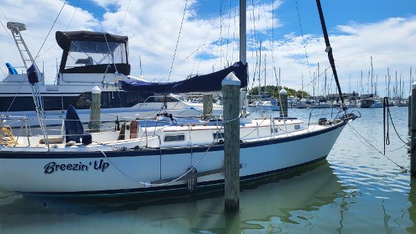 1979 Pearson 365 Sloop