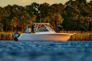 2026 Sailfish 245 DC