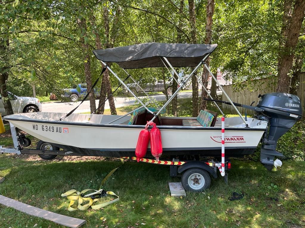 1989 Boston Whaler 13 classic