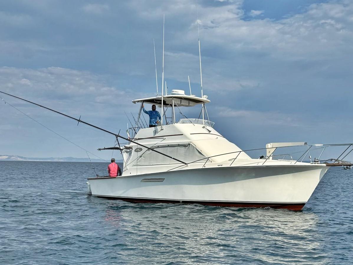 Ocean Yachts 38 Super Sport 1988 Ocean Yachts 38 Super Sport fishing boat on open water.