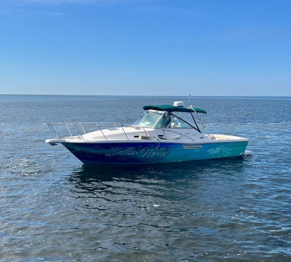 2000 Pursuit 3000 Express