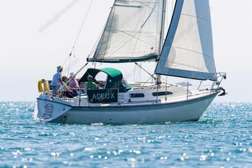 1994 Westerly Regatta 290