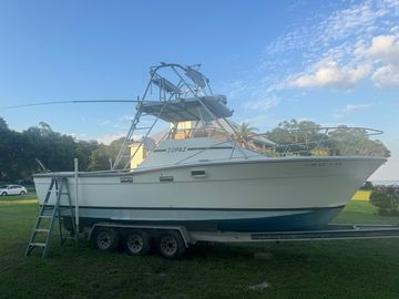 1980 Topaz Express