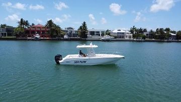 2008 Boston Whaler 320 Outrage