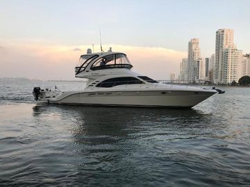 2007 Sea Ray 520 Sedan Bridge
