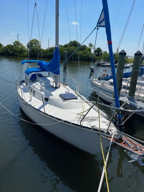 1982 C&C 30 MK1, Tampa Florida - boats.com