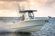 Cobia 245 Center Console thumbnail