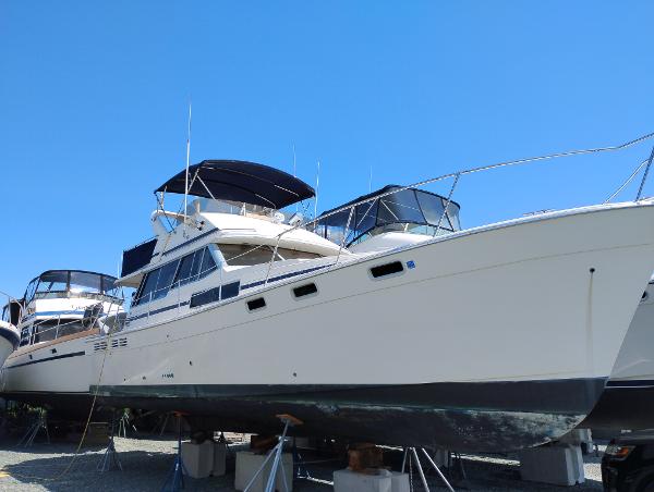 Bayliner 3818 Motoryacht