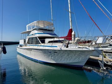 1989 Chris-Craft Catalina