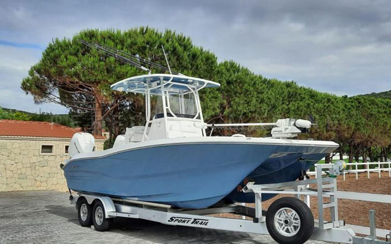 catamaran sea cat