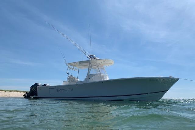 2017 Regulator 31