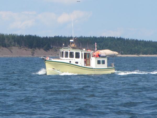 Anderson Custom Downeast Frizzell