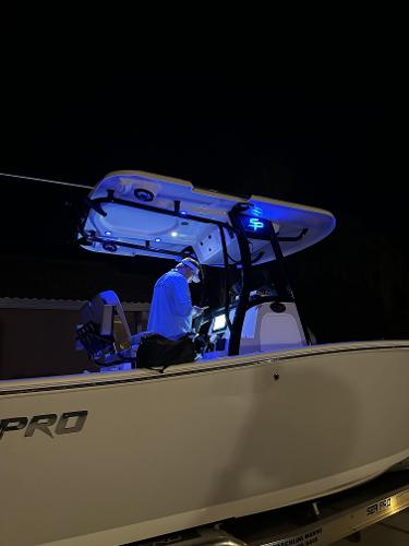 2023 Sea Pro 239
