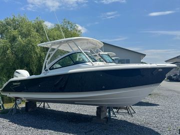 2025 Pursuit DC 246 Dual Console