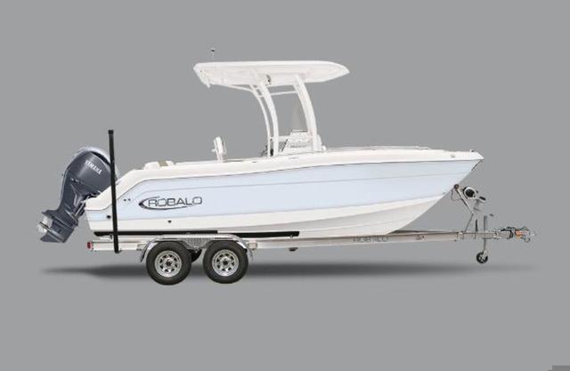 Robalo R222 Center Console