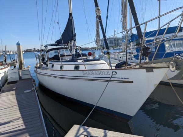 マリーナ　船　ベル A must-have boat] A brand new boat worth 44 million yen! A