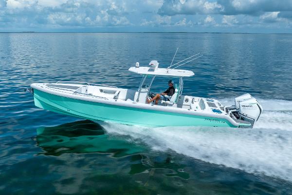 2024 Dynamic D-305V