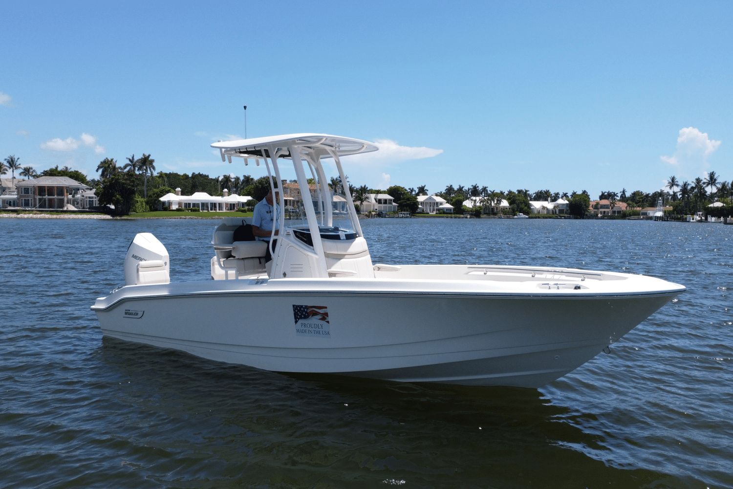 Boston Whaler 250 Dauntless 2025 Boston Whaler 250 Dauntless boat on calm water, with coastal homes in the background.