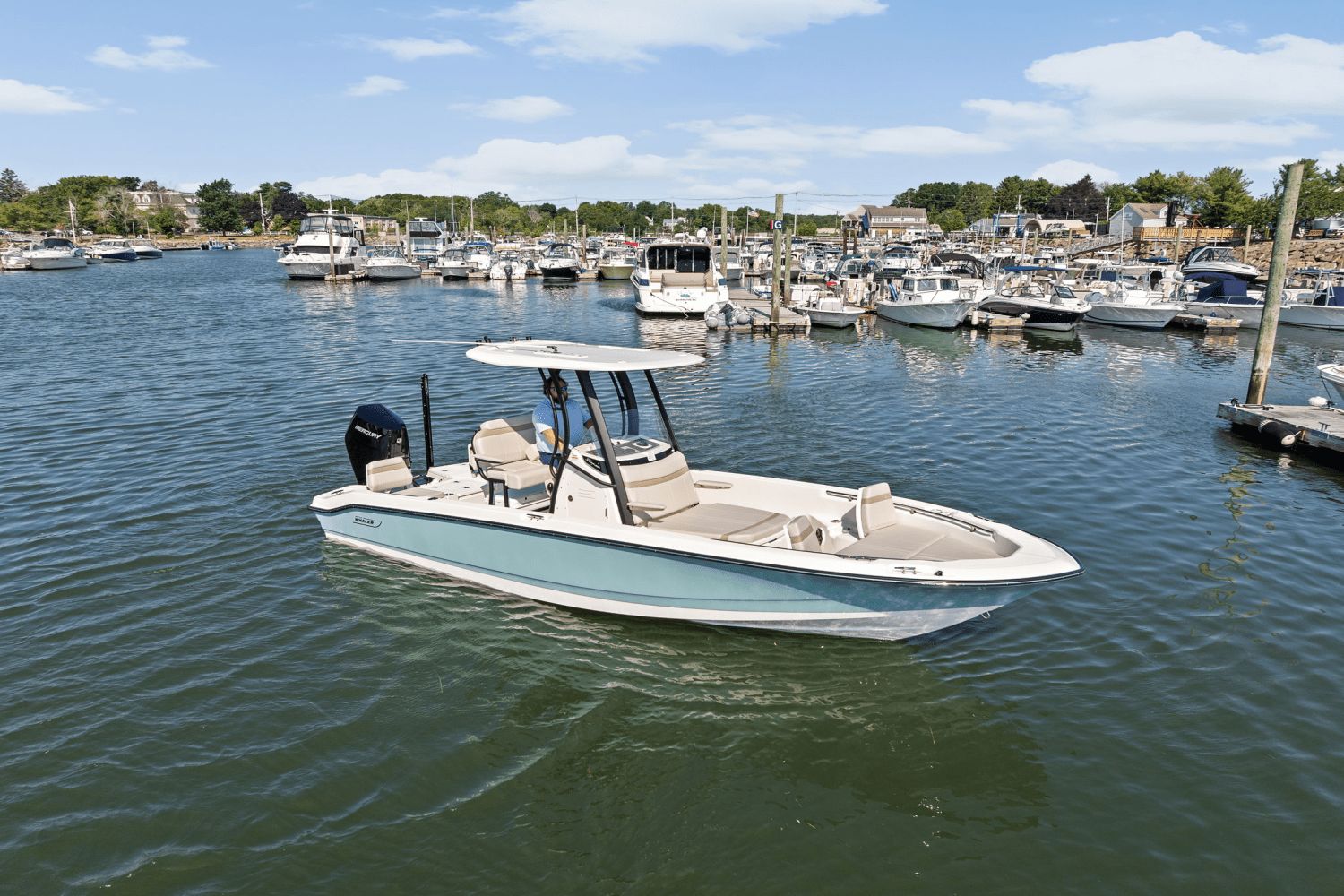 2025 Boston Whaler 250 Dauntless