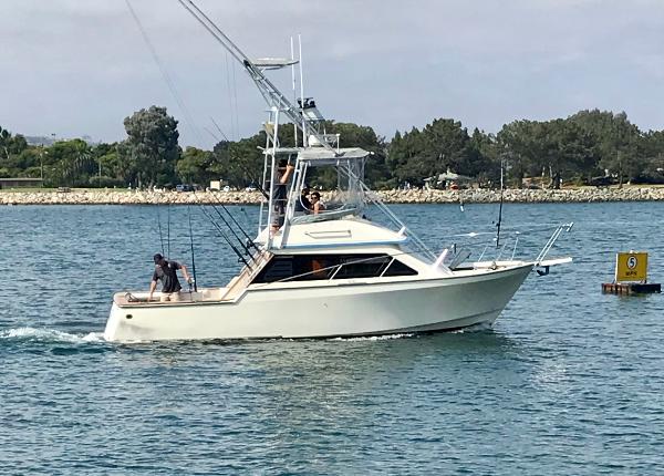 1986 Innovator 31