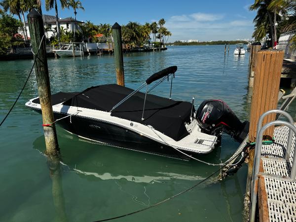 Sea Ray SPX 190 Outboard 2019 Sea Ray SPX 190 OB boat docked in a serene marina setting.