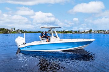 2026 Boston Whaler 250 Dauntless