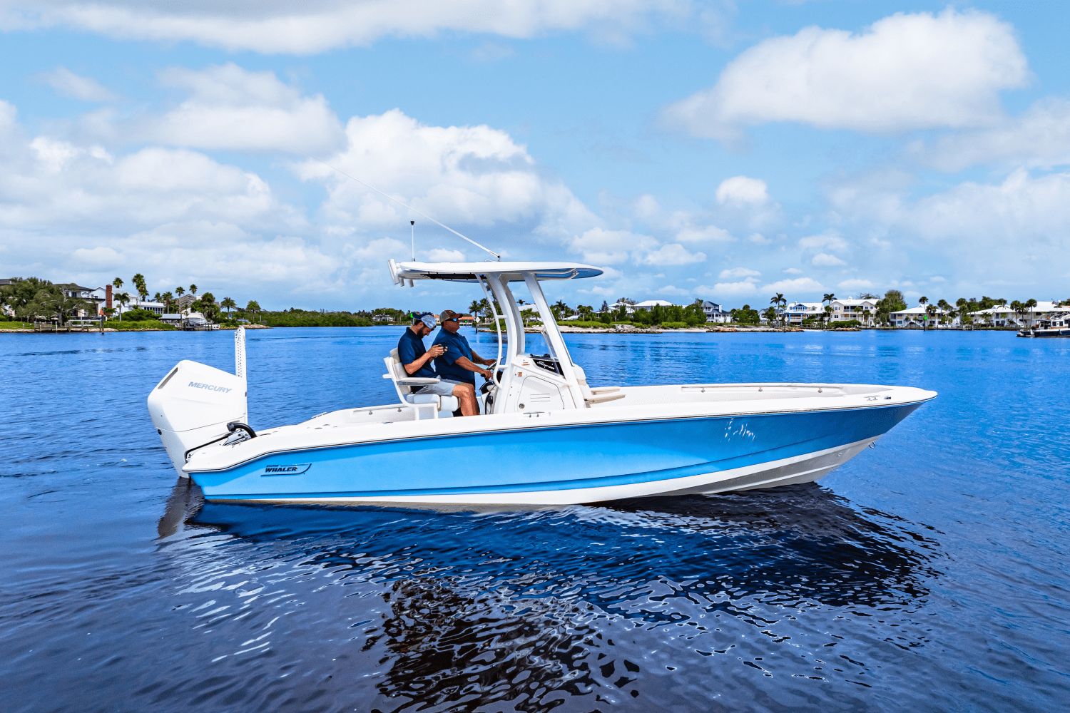 2026 Boston Whaler 250 Dauntless