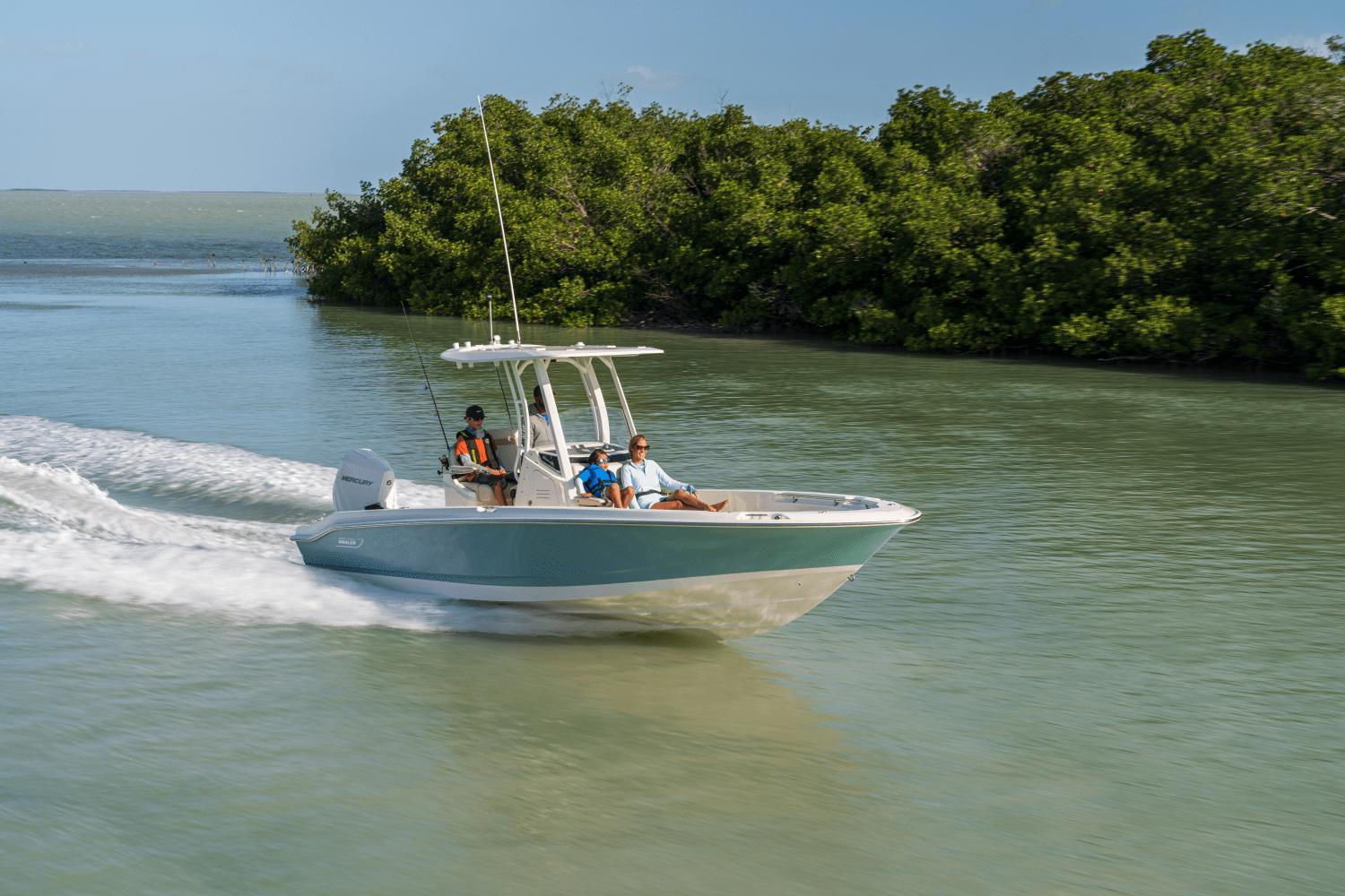 2026 Boston Whaler 250 Dauntless