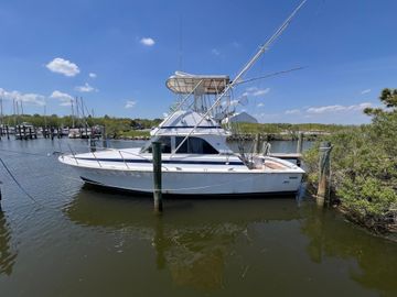 1982 Bertram 35 Convertible