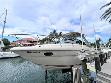 2008 Sea Ray 290 Amberjack